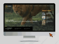portfolio-post